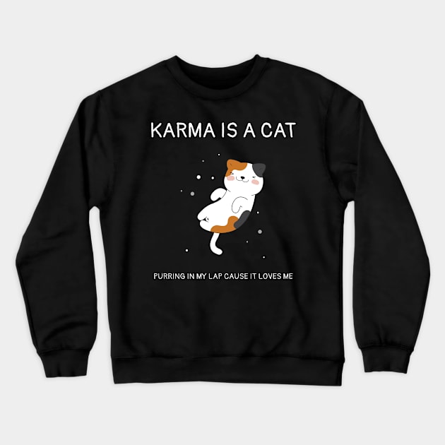 Karma is Cat Funny Crewneck Sweatshirt by Can Photo